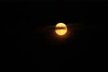 The moon